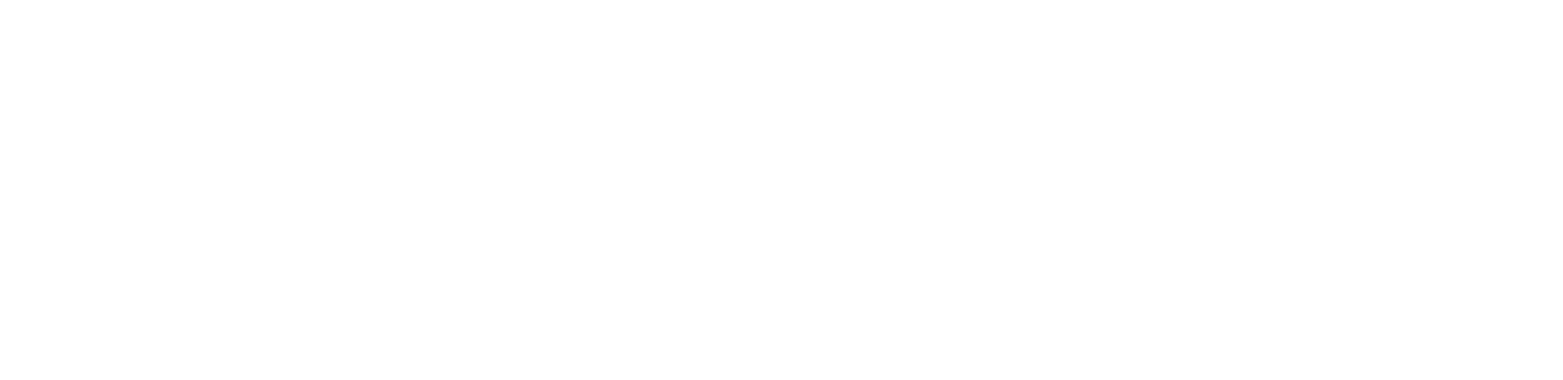 VDL_logo_long_white2-02